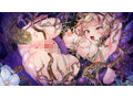 魔法少女リオナ☆フィオナ〜最弱の姉と最強の妹〜 画像3