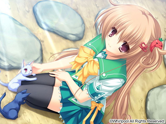 渦巻コレクションパック-水鏡まみず Edition- 通常版 画像1