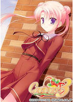 Canvas3 コンプリートBOX