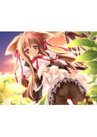 タユタマ-kiss on my deity- 初回限定版のサムネイル画像