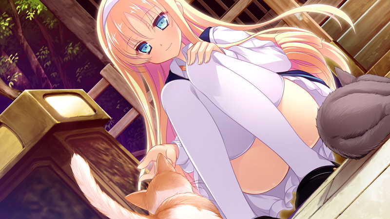 【数量限定】花の野に咲くうたかたの 通常版 DMMオリジナルイラストカード付 画像6
