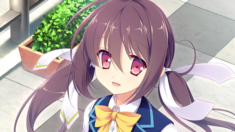 【数量限定】花の野に咲くうたかたの 通常版 DMMオリジナルイラストカード付 画像9