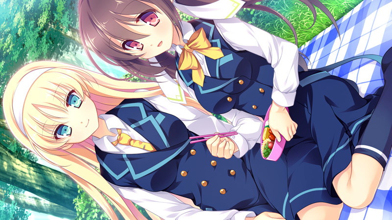 【数量限定】花の野に咲くうたかたの 通常版 DMMオリジナルイラストカード付 画像10