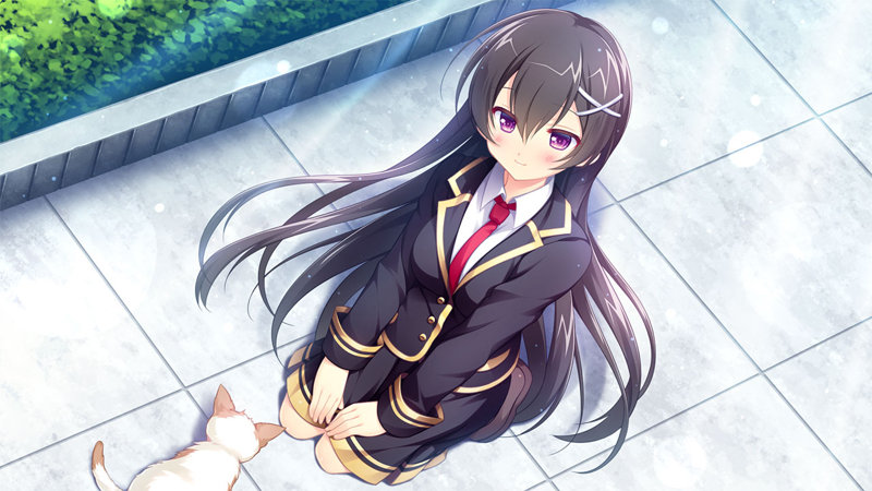 ヌキコレvol.105 クロスコンチェルト One or two of us were not enough.It took everybody to reach our intersecting future. クリアカード付 画像35