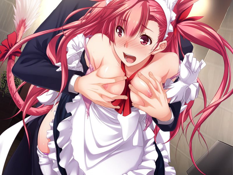 真剣で私に恋しなさい!A 特装版 画像11