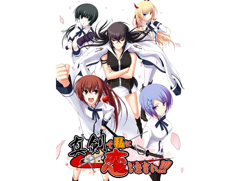 真剣で私に恋しなさい！ 通常版