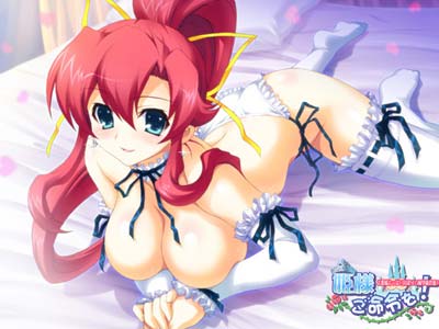 姫様ご命令を！ 初回限定版 画像9