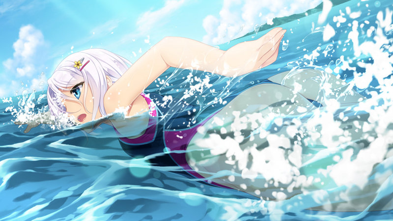 ヌキコレvol.99 スイセイギンカ イラストカードセット付 画像4