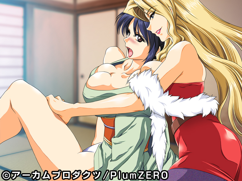 姦系図 画像2