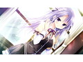 乙女が結ぶ月夜の煌めき 画像3