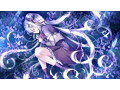 【FANZA限定】【受注限定生産】旭光のマリアージュ ROYAL EDITION(豪華版) オリジナルA4イラストクロス付き 画像9
