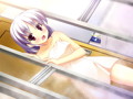 ALcot Honey Comb 文庫セット 画像3