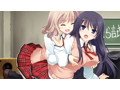ALcot Honey Comb 文庫セット 画像12