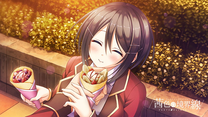【FANZA限定】茜色の境界線 初回特装版 オリジナルA4タペストリー付 画像10