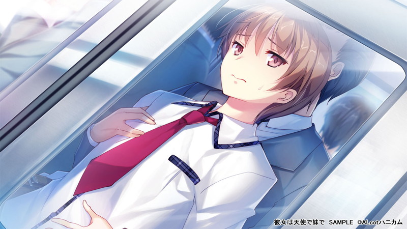 【FANZA限定】彼女は天使で妹で 初回特装版 オリジナルA4タペストリー付 画像12