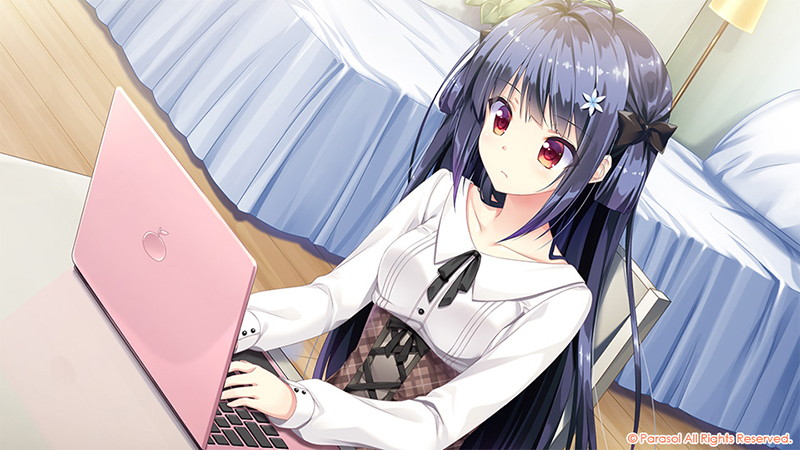 桜ひとひら恋もよう 画像5