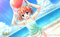 Happy Wardrobe 初回版 画像5
