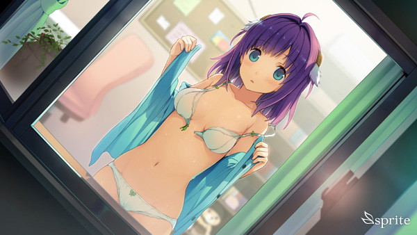 蒼の彼方のフォーリズム TVアニメ化記念特装版 画像4