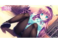 姫と乙女のヤキモチLOVE 抱き枕カバー付き豪華版 画像5