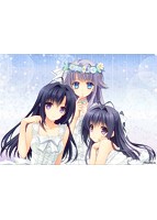 【FANZA限定】月に寄りそう乙女の作法2.2 A×L＋SA！！ オリジナルA4タペストリー付