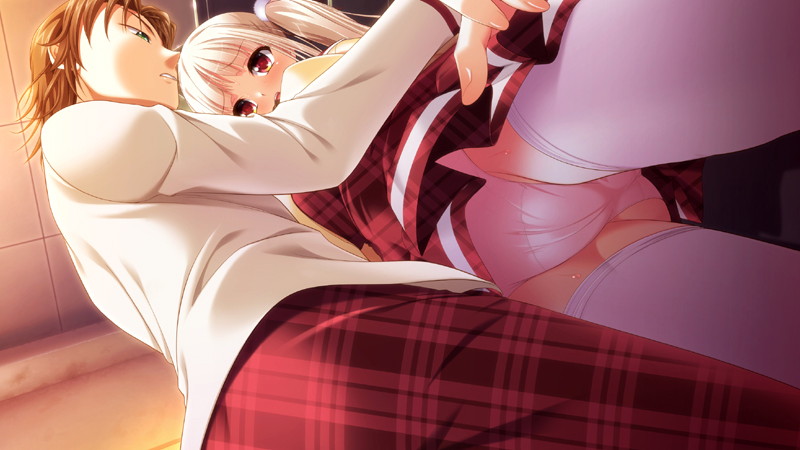僕の愛しい妹が寝取られちゃった理由 初回限定版 画像4