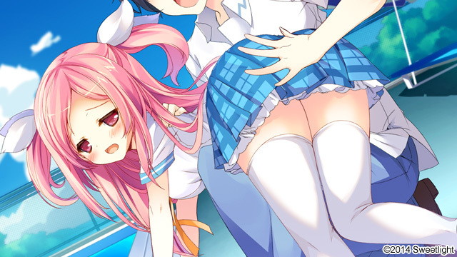 ひまわり!!-あなただけを見つめてる- 画像1