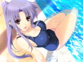 【数量限定】LOVELY×CATION 2 FANZAオリジナルおっぱいマウスパッド付 画像1
