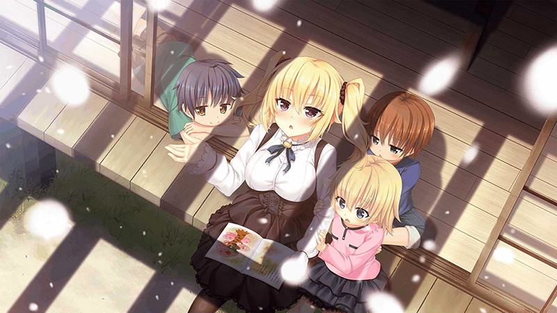 【FANZA限定】ノラと皇女と野良猫ハート1+2パック 早期予約特典&オリジナルA4タペストリー付 画像7