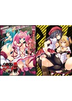 アクメセキュリティ 2本パック アウトレット版のサムネイル画像