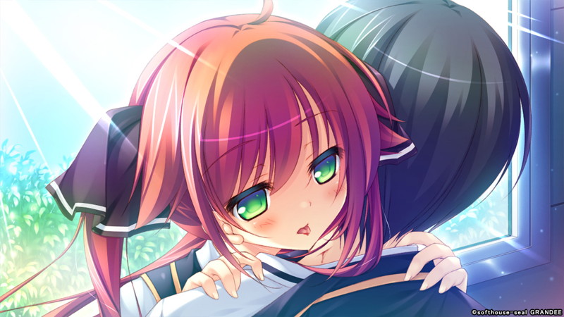 【数量限定】天精国取りセックス合戦!! DMMオリジナルイラストカード2枚セット付 画像4