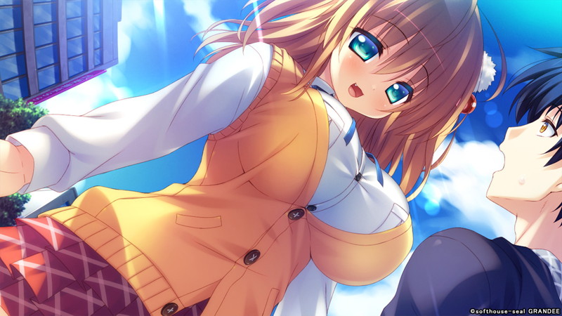 【数量限定】天精国取りセックス合戦!! DMMオリジナルイラストカード2枚セット付 画像11