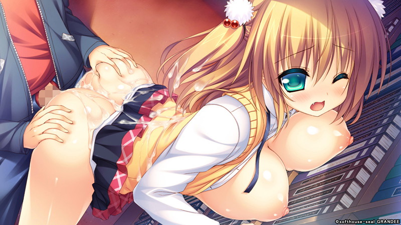 【数量限定】天精国取りセックス合戦!! DMMオリジナルイラストカード2枚セット付 画像19