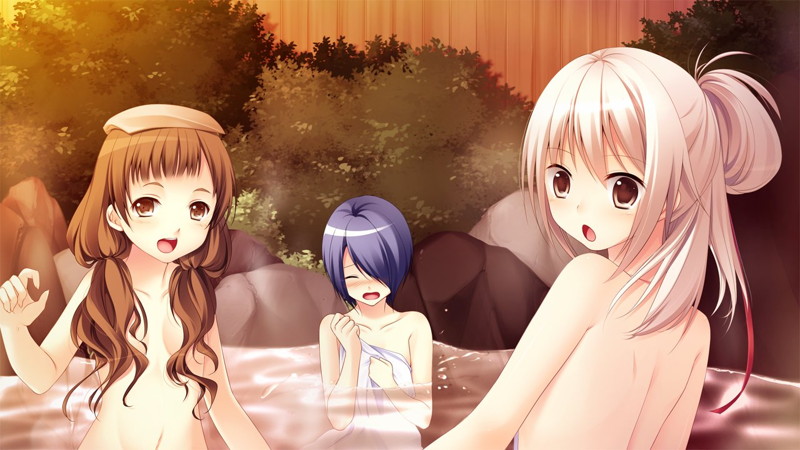 戦極姫・華 〜真録・天下を切り裂く光と影〜【豪華限定版】 画像2