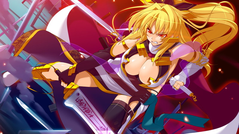 戦極姫・華 〜真録・天下を切り裂く光と影〜【豪華限定版】 画像8