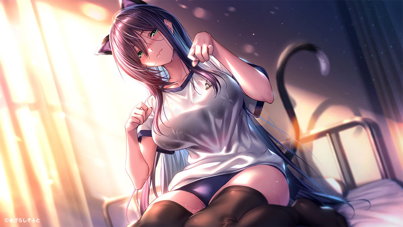 アマカノ2 〜Limited Edition〜 （再販） 画像13