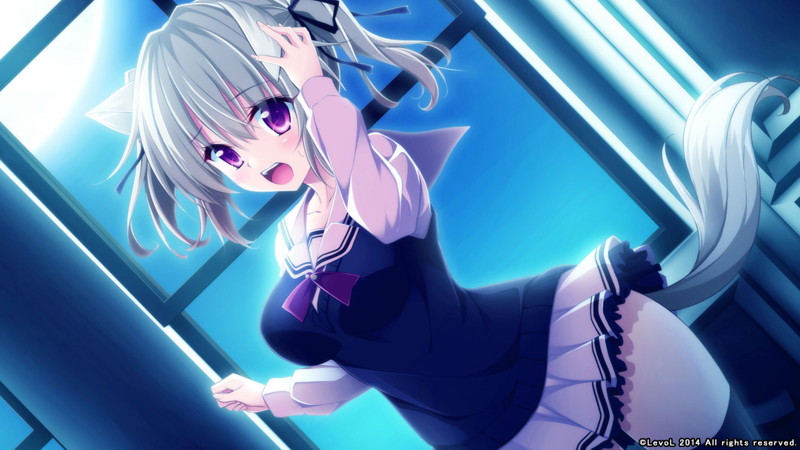 【数量限定】11月のアルカディア DMMオリジナルイラストカード付 画像3