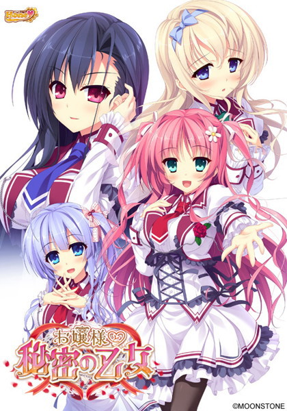 【数量限定】お嬢様と秘密の乙女 DMMオリジナルイラストカード付