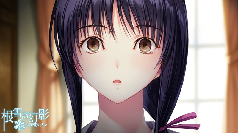 【数量限定】根雪の幻影 白花荘の人々 DMMオリジナル描き下ろしおっぱいマウスパッド付(乳首突起あり) 画像2