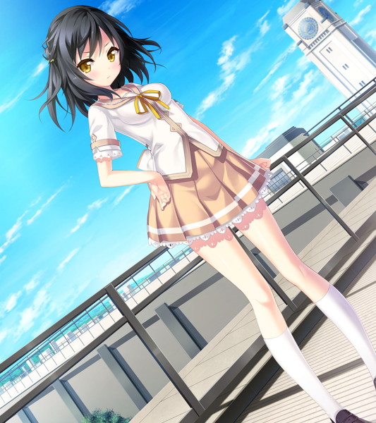 ナツウソ-Ahead of the reminiscence- 画像1
