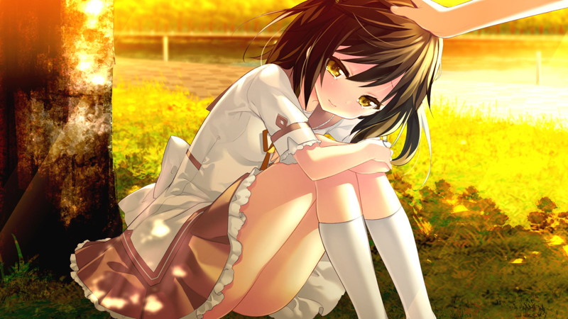 ナツウソ-Ahead of the reminiscence- 画像3