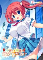 不運と幸運と恋占いのタロット B2タペストリー付き豪華限定版