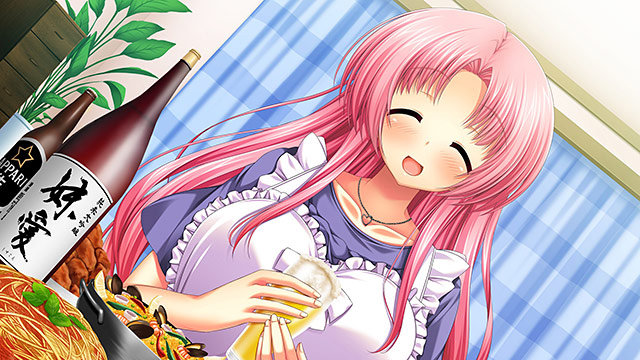 【FANZA限定】自宅すたじお 10th Anniversary BOX 抱き枕カバー付き豪華版(鳳千景) オリジナルA3布ポスター付き 画像2