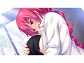 Honey*Honey*Honey！ 普及版 画像7