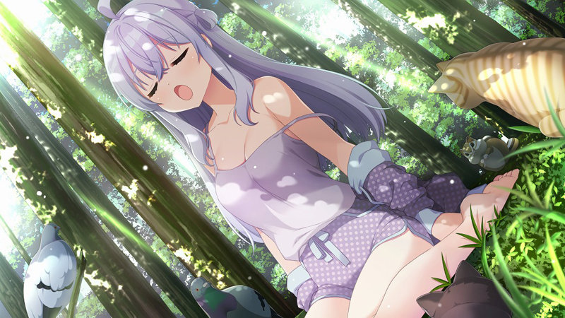 ネコと女子寮せよ！ 普及版 画像2