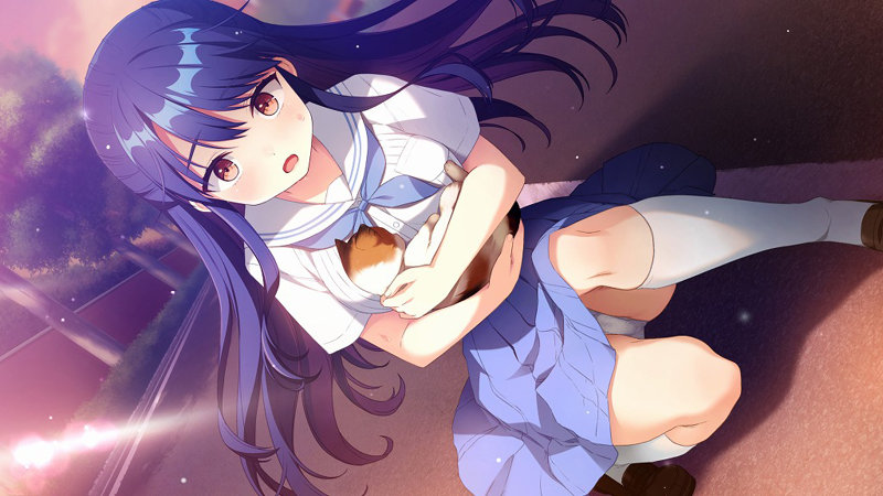 ネコと女子寮せよ！ 普及版 画像6