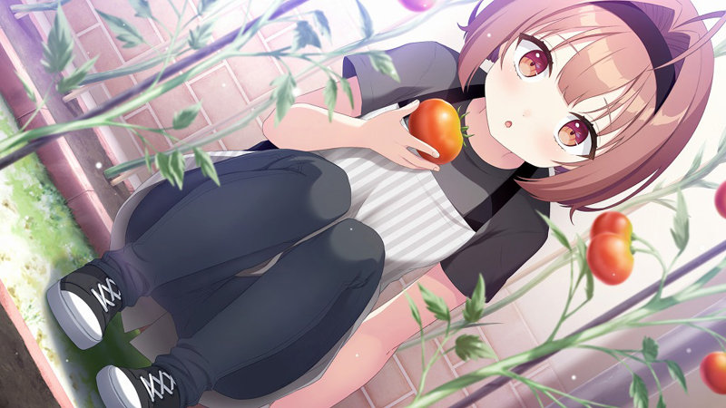 ネコと女子寮せよ！ 普及版 画像14