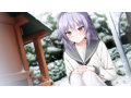 アンスリウム-i entrust to you- B2シルキースエードタペストリー付き限定版 サンプル5