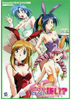 エッチなバニーさんは嫌い？のサムネイル画像