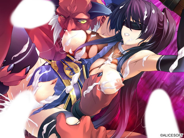 超昂閃忍ハルカ 廉価版 画像10