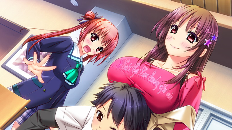 しすたー・すきーむ3 初回限定版 画像4